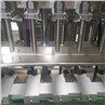 Automatic Servo Piston Liquid Filling Machine